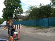 Липи, які зрізали на Пушкінській, повернуть назад