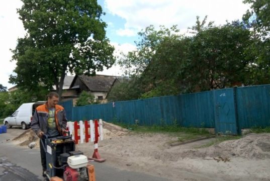 Липи, які зрізали на Пушкінській, повернуть назад