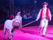 Як утримують тварин у цирку “Кураж”?