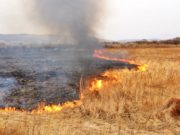 Рятувальники ліквідували 6 загорань сухої трави