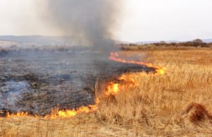 Рятувальники ліквідували 6 загорань сухої трави