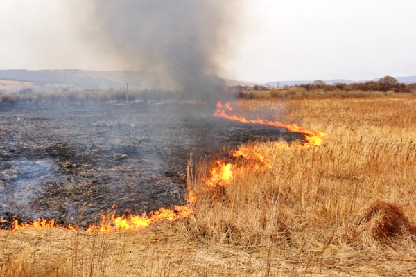 Рятувальники ліквідували 6 загорань сухої трави