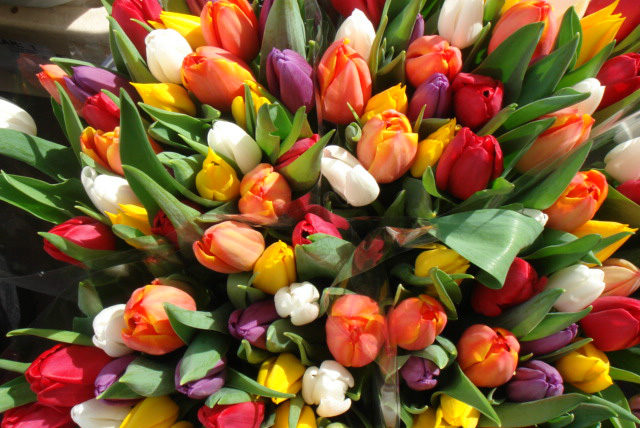 Квіти в Ірпені до 8 березня подорожчають на 50%