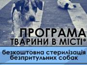 В Ірпені безкоштовно стерилізують тварин