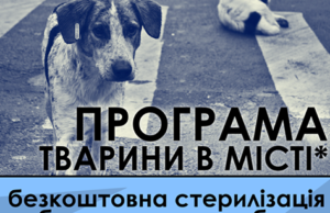 В Ірпені безкоштовно стерилізують тварин