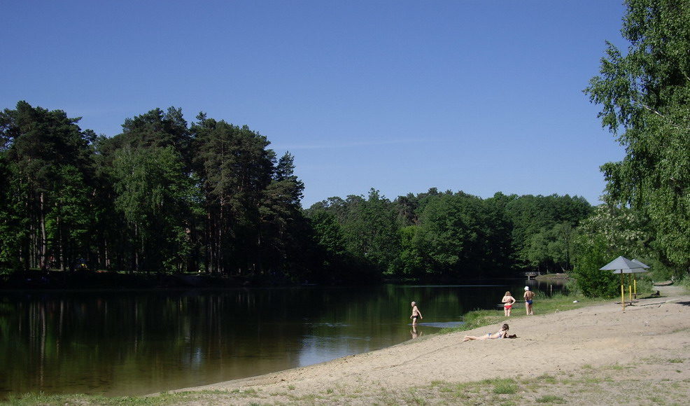 Мешканці Ворзеля влаштували генеральне прибирання на озері в Кічеєво