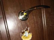 Бучанець повідомив про пограбування на Пушкінській