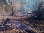 Ірпінські рятувальники ліквідували загорання покладів торфу