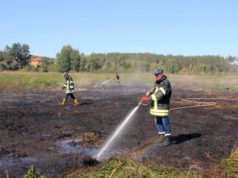 Рятувальники під Гостомелем ліквідовують загорання торфовищ