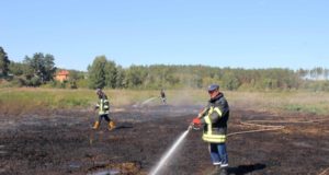 Рятувальники під Гостомелем ліквідовують загорання торфовищ