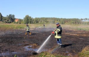 Рятувальники під Гостомелем ліквідовують загорання торфовищ