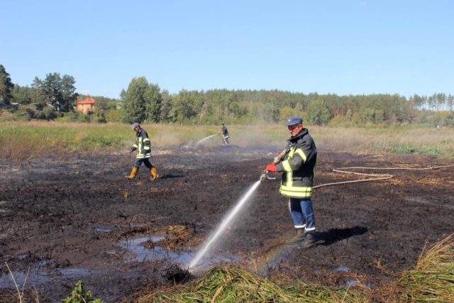 Рятувальники під Гостомелем ліквідовують загорання торфовищ