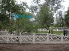 Витвір дерев’яного “парканного мистецтва” у парку Письменників коштує понад 700 тисяч гривень