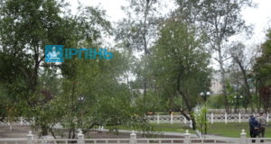 Витвір дерев’яного “парканного мистецтва” у парку Письменників коштує понад 700 тисяч гривень
