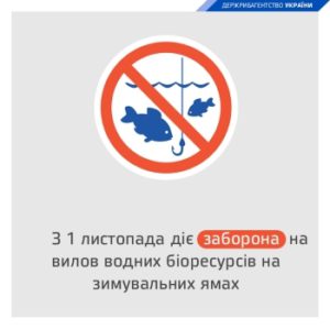 Із 1 листопада на Київщині заборонено рибалити на зимувальних ямах