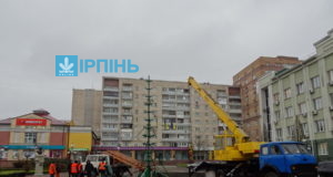 В Ірпені встановлюють новорічну ялинку, яку в 2016-му придбали за рекордні для України майже 200 тисяч гривень