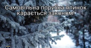 Операція "Новорічна ялинка" на Київщині