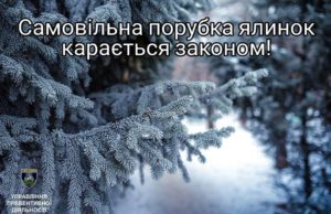 Операція "Новорічна ялинка" на Київщині