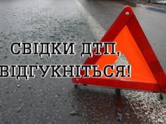 Поліція розшукує водія, який в Ірпені збив молоду жінку та зник з місця пригоди