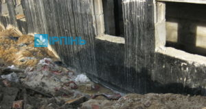 Гостомельський садочок-довгобуд: безгосподарність помножена на отрутохімікати