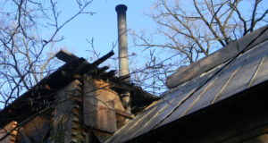 В Ірпені від пожежі рятували житловий будинок