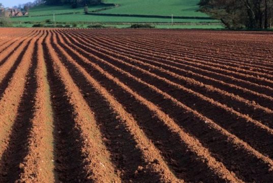 Завдяки зусиллям прокуратури Київщини державі протягом 2017 року повернуто майже 18 тисяч гектарів землі