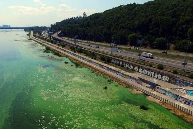 Наближення екологічної катастрофи: до 2025 року Дніпро може перетворитися на київське болото