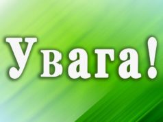 В Ірпені обмежать рух та паркування транспорту через святкування річниці створення Нацгвардії