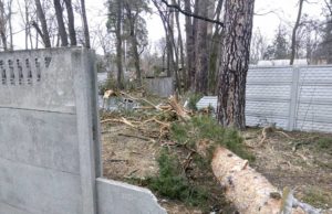 Наслідки першоквітневого буревію в Приірпінні Наслідки першоквітневого буревію в Приірпінні