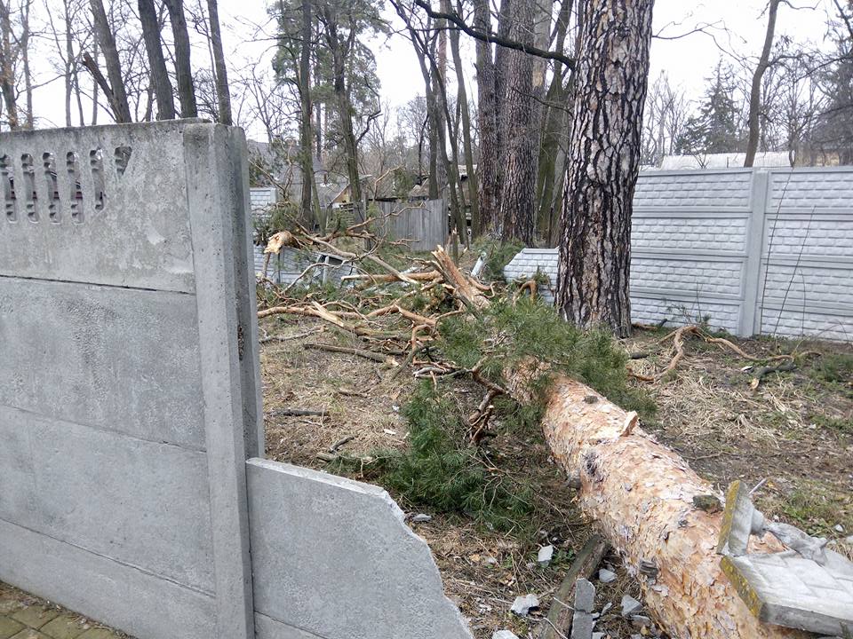 Наслідки першоквітневого буревію в Приірпінні