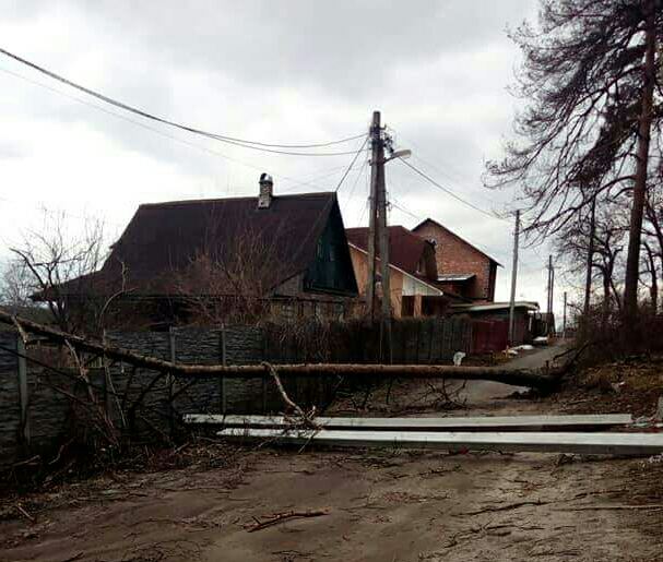 Наслідки першоквітневого буревію в Приірпінні