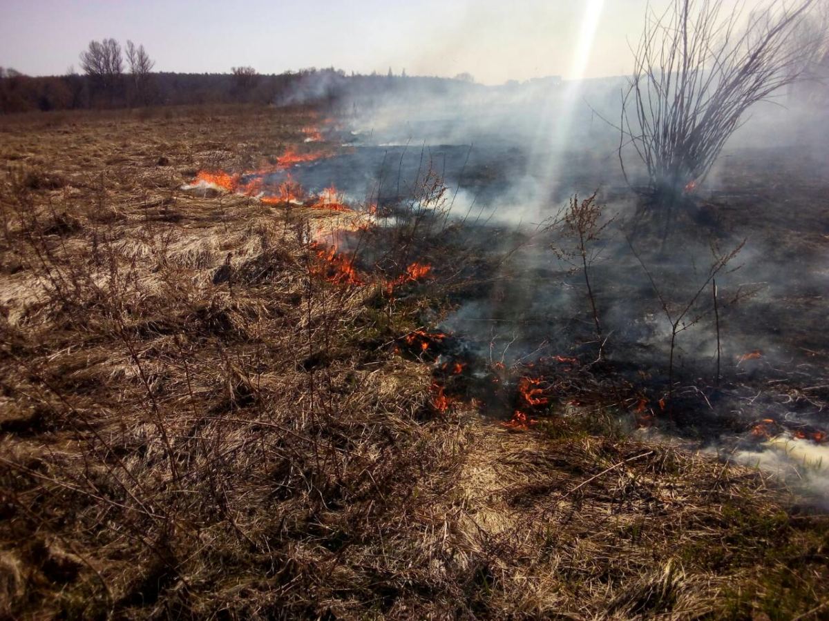 Приірпіння у вогні