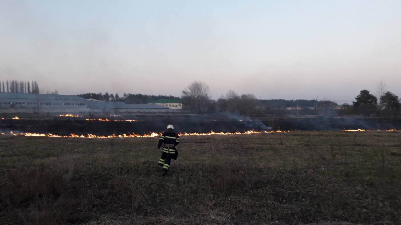 Чорний понеділок для приірпінських екосистем