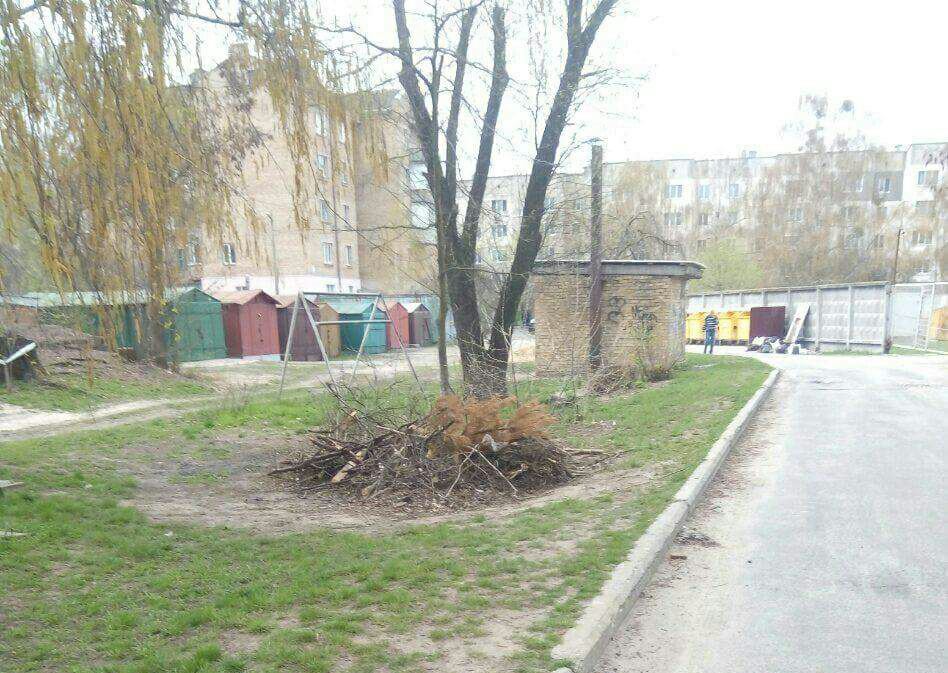 “Благоустрій” на гостомельський манір
