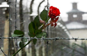 11 квітня — Міжнародний день визволення в’язнів фашистських концтаборів 11 квітня — Міжнародний день визволення в’язнів фашистських концтаборів