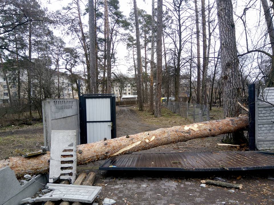 Наслідки першоквітневого буревію в Приірпінні