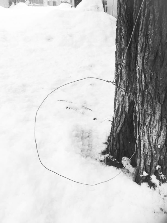 Браконьєри в Ірпені розставили пастки на тварин Браконьєри в Ірпені розставили пастки на тварин