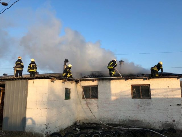 У Гостомелі загасили дві пожежі: горіли вагончик та свиноферма у Бучанській колонії