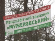 Проект “Green Wave” на фоні реальних проблем Ірпеня, що можуть вилитися в масштабну екологічну катастрофу