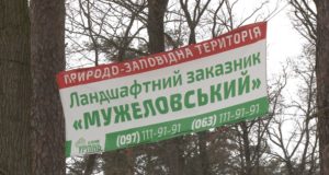 Проект “Green Wave” на фоні реальних проблем Ірпеня, що можуть вилитися в масштабну екологічну катастрофу