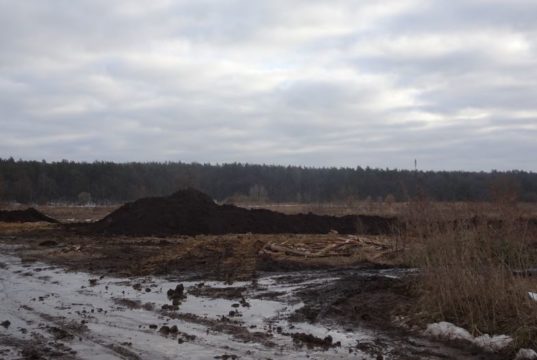 Палала ірпінська заплава: спритники організували підпали, щоб прискорити забудову цієї території?