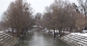 На річці Ірпінь небайдужа громада відновила пропускну спроможність шлюзу: через його перекриття гинула риба та замулювалося русло