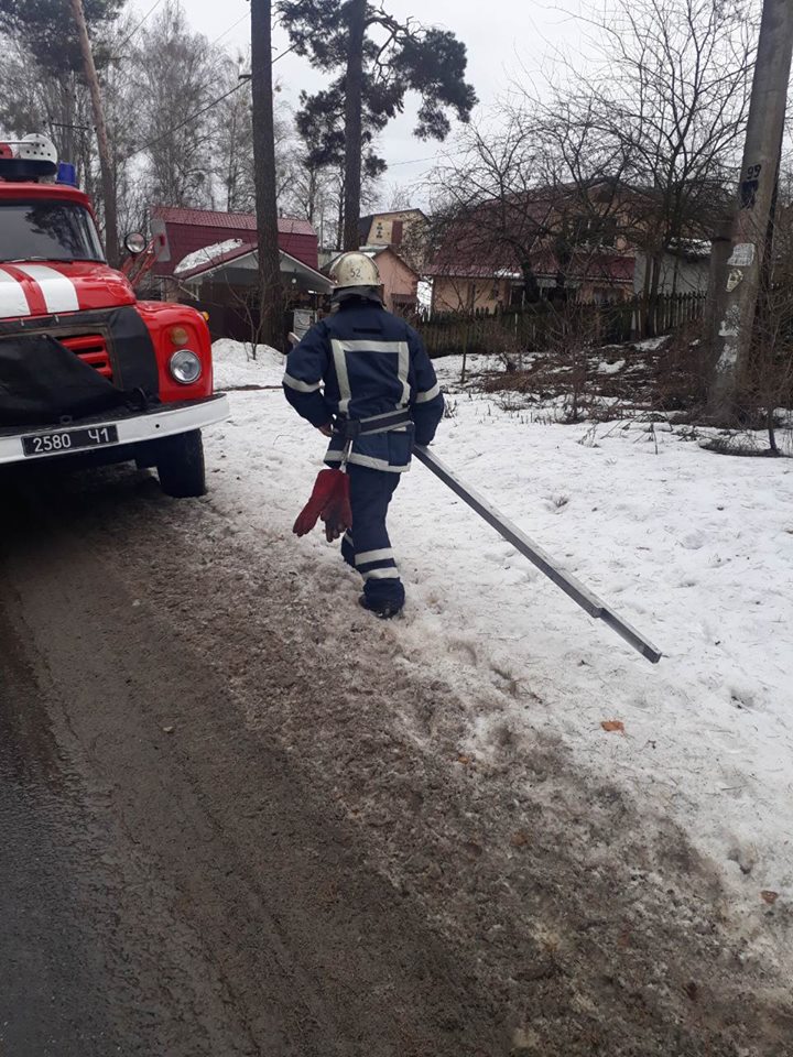 Каналізаційна пастка у Ворзелі: рятувальники підняли з технічного колодязя собаку
