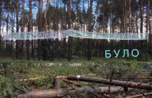 Зовсім не смішно: на місці зрубаного лісу побудують ще один Forest Land