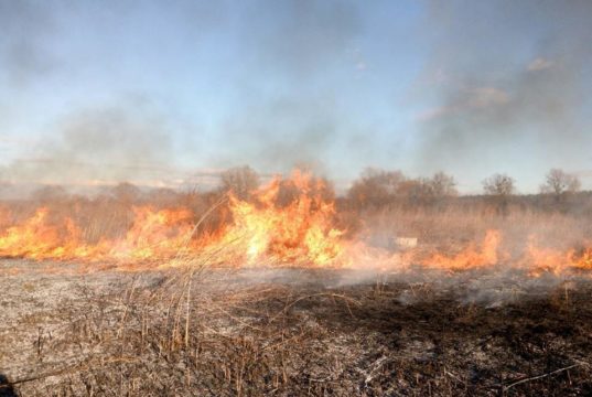 Палаючі вихідні: в Ірпінському регіоні ліквідували 14 займань трави та 10 загорянь сміття