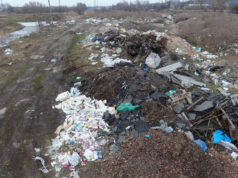 Двомісячник благоустрою: акція від ірпінської влади, щоб 5 хвилин “посвітитися” на камери з граблями?