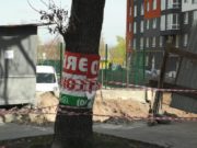 Війна з дубами: в Ірпені депутат-забудовник Оверко прокладає проїзд на “могилі” вікового дерева