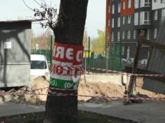 Війна з дубами: в Ірпені депутат-забудовник Оверко прокладає проїзд на “могилі” вікового дерева