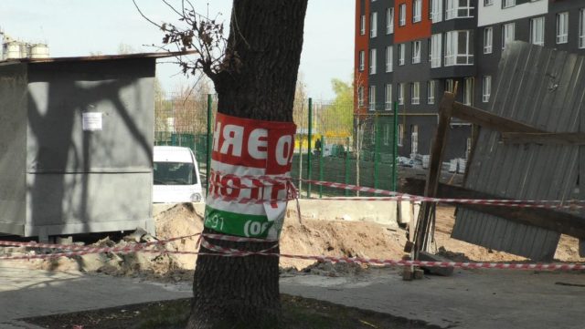 Війна з дубами: в Ірпені депутат-забудовник Оверко прокладає проїзд на “могилі” вікового дерева