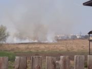 Загоряння сухої трави на заплавних землях річки Ірпінь